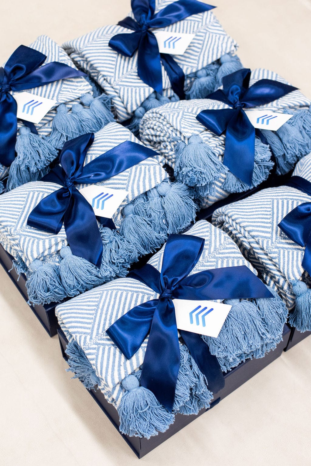 Vip Client Merchandise Gallery: VIP Client Gifts for Follow Up Boss